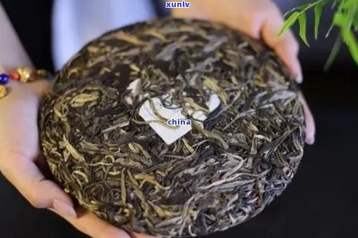 探究老班章茶品质：是否位居中国茶叶巅峰？