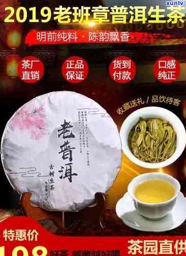 鸿源茗典老班章普洱茶饼：2019茗膳堂与宏睿号精选红茶