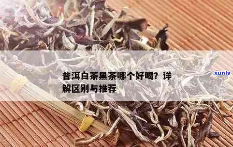 普洱银毫揭秘： 白茶还是黑茶？