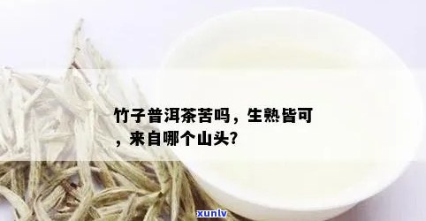 普洱茶竹子是哪个山头16年及19年详解