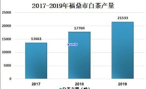 福鼎白茶市场价格解析：品质与产地的秘密