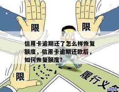 信用卡逾期几天额度没了怎么回事：逾期处理与额度恢复指南