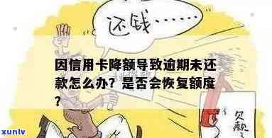 信用卡逾期几天额度没了怎么回事：逾期处理与额度恢复指南