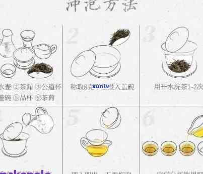 圆盘普洱茶的泡法与价格：图解、视频、大全及饮用技巧