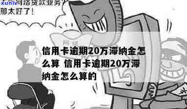 信用卡逾期还款产生20元滞纳金