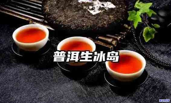 酸枣树古树茶：价格、品质与泡法全面解析，助您选购与品鉴