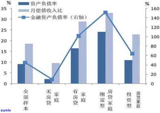 探究信用卡债务压力下的家庭访问现象