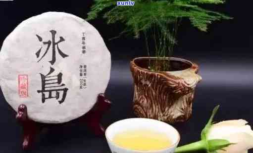 冰岛生普洱茶价格与泡饮 *** ：功效与特点解析