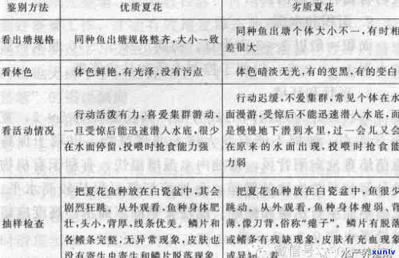 探究黑鱼颜色深浅与其品质的关联