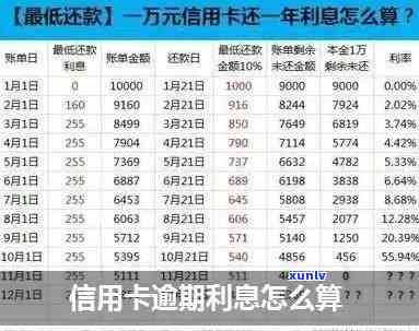 19年信用卡逾期量-19年信用卡逾期量多少