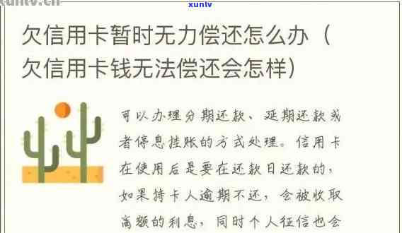 应对信用卡借呗逾期无力偿还的解决策略