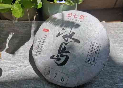 冰岛普洱生茶饼价格查询2019：茶饼多少钱一饼