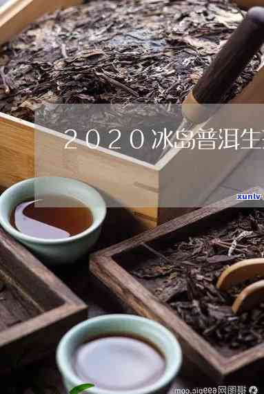 探究2020年冰岛生茶的市场价格与收藏价值