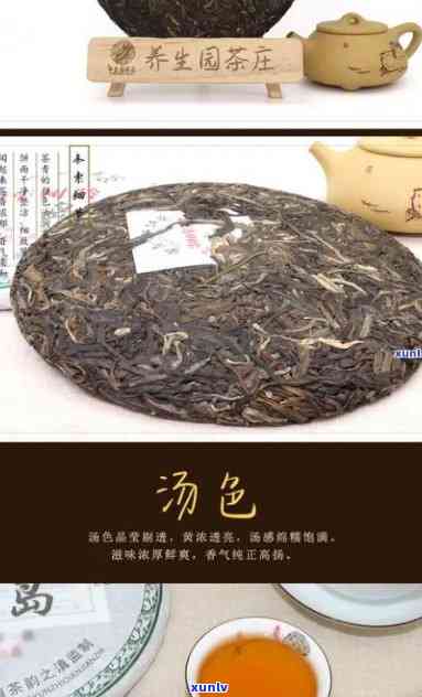 2017年云南临沧冰岛普洱生茶砖：浓醇厚的茶艺佳品