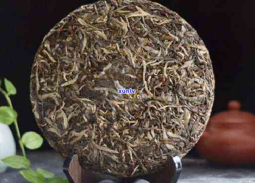 普洱8572与8571、8582的含义：生茶类型及茶砖细节解析