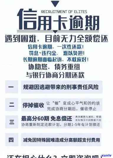 应对掌上银行信用卡逾期的正确步骤与指南