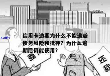 信用卡逃废债现象调查：揭秘跑路背后的风险与挑战