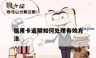 逾期信用卡债务自救攻略：摆脱财务困境的实用步骤