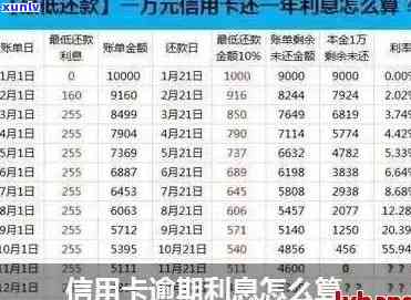 信用卡逾期怎么处罚罚息-信用卡逾期怎么处罚罚息更低