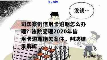 2020年信用卡逾期拖欠案件法院受理情况分析