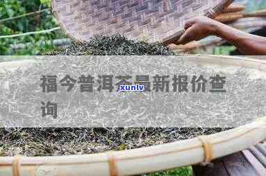 茶福经典普洱茶叶价格每斤概览