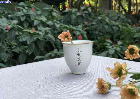 十年普洱价值多少钱一瓶：白茶对比与饼茶价格解析