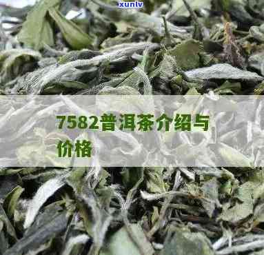 普洱7592多少钱-普洱茶7592价格