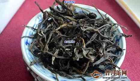 探寻冰岛老寨普洱茶生茶：珍贵茶饮，价格不菲