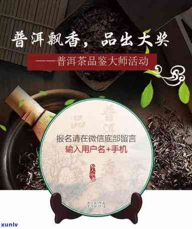 君享茶叶旗舰店普洱茶：品味传统，尊享优