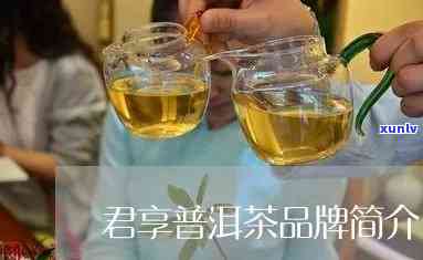 君享茶叶旗舰店普洱茶：品味传统，尊享优