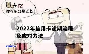 2022年信用卡逾期处理流程详解