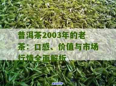 探究2003年普洱茶的价值与口感特色