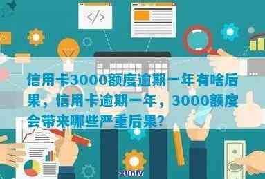 信用卡3000额度逾期一年会产生哪些后果？