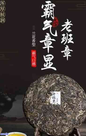 雨林老班章熟茶：2019与2020价格对比，古树茶饼价值分析