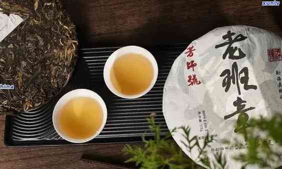 老班章文化发展涵茶业与茶叶业务