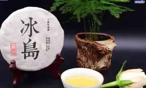 冰岛生普茶是什么茶种，口感特点，功效与禁忌，价格介绍