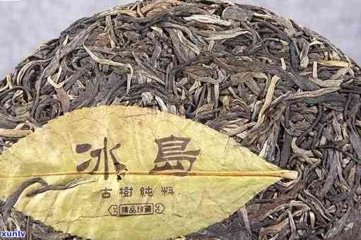 探寻普洱茶之珍品：冰岛古树生茶传奇