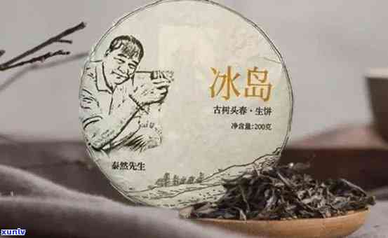 云南冰岛生普洱茶价格：生茶档次解析