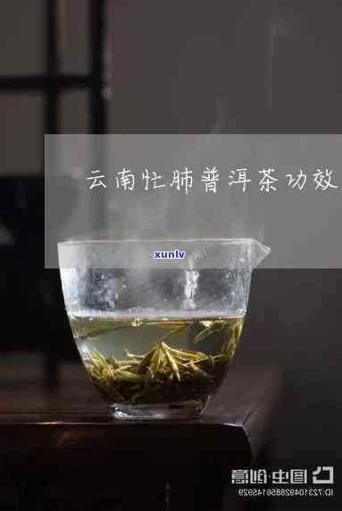 普洱忙肺口感：云南特色熟茶对人体肺部的好处