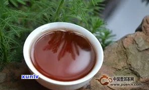 普洱茶枣香特色及原因：比较与香气类型解析