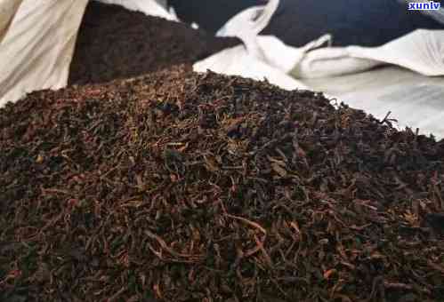 揭秘枣香普洱茶的形成过程：传统工艺与自然条件的完美结合
