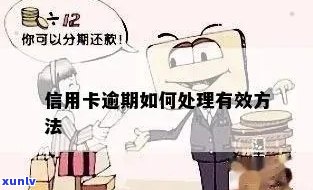 解决信用卡逾期困境：自救攻略详解