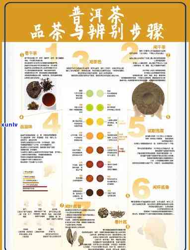 13年陈普洱茶品质分析与品饮指南