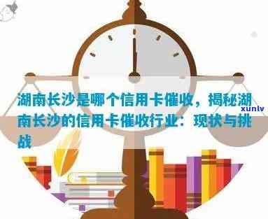 湖南省信用卡案例分析及服务中心信息