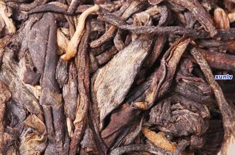 探究沧海普洱生茶的市场价格与收藏价值