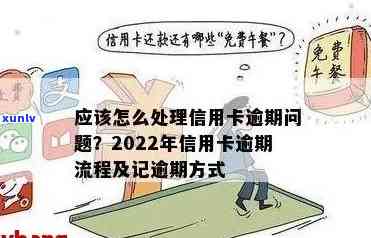 信用卡逾期如何急救处理流程：视频、图片及2022年指南