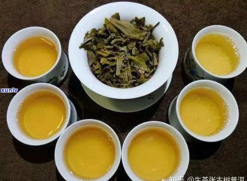 解析生普洱茶与老白茶的不同之处