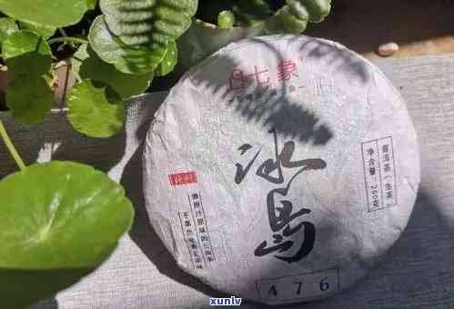 2008年份冰岛熟普洱茶饼价格分析