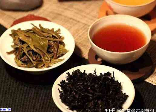 普洱茶古树茶价格及市场行情分析：一斤多少钱？