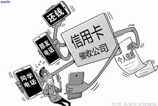 逾期还款选择：信用卡还是网贷？如何做出更优决策？